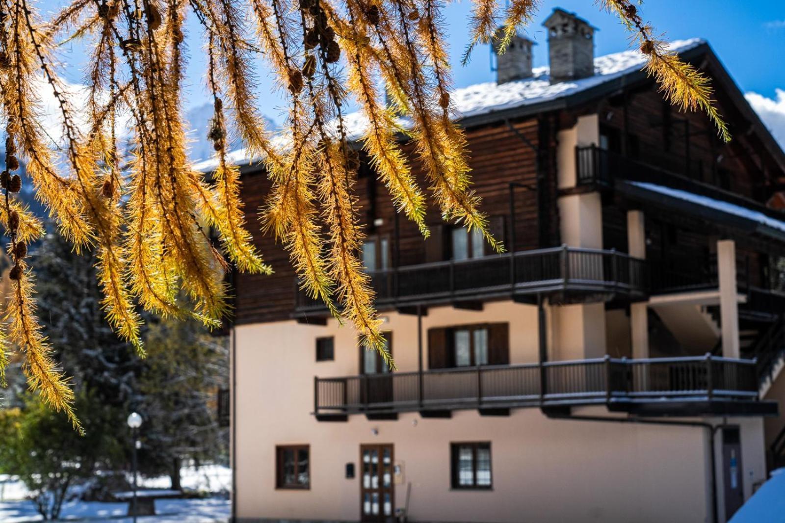 Alpine Forest Hotel Champoluc Εξωτερικό φωτογραφία