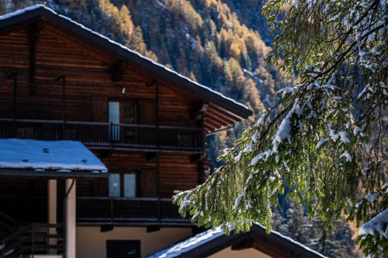 Alpine Forest Hotel Champoluc Εξωτερικό φωτογραφία